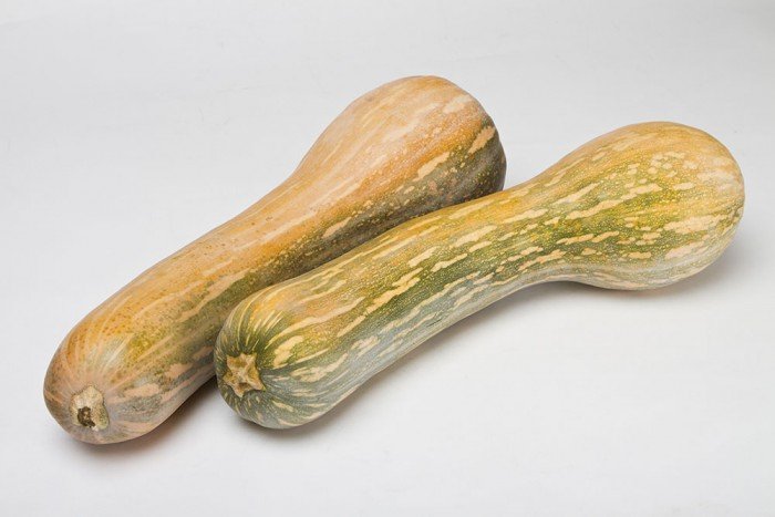 Wholesale Long pumpkins
