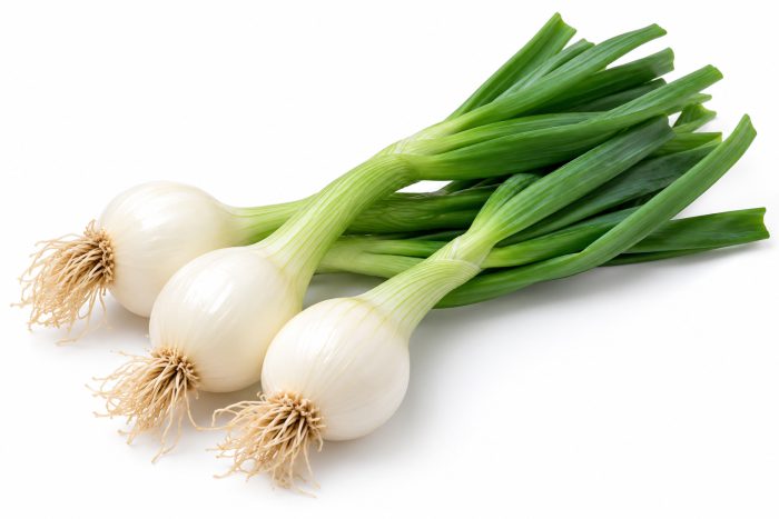 Cebolla tierna