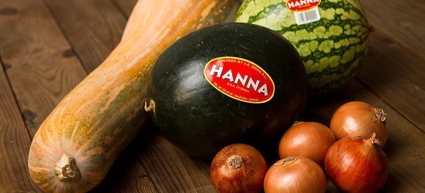 J.A. Mora pumpkin, HANNA watermelons and onions
